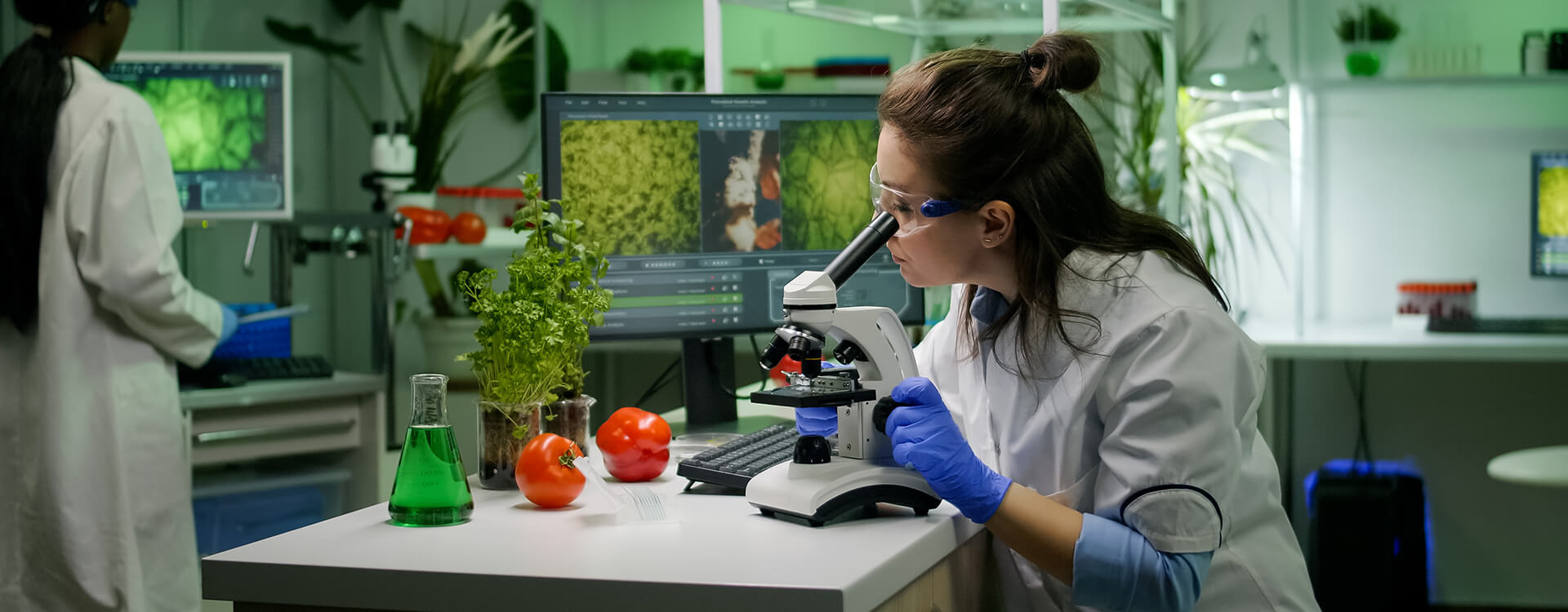 Hextar Group | Leader in the agrochemicals