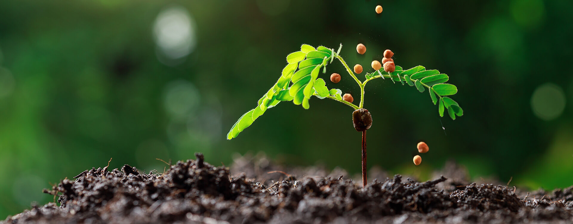 Hextar Group | Leader in the agrochemicals